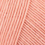 Flamingo (57)