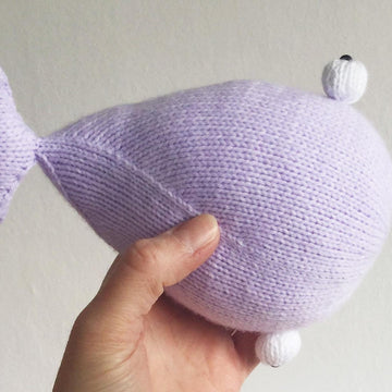 Eyeball Whale
