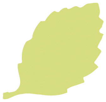 Advantus Paper Blossoms Lever Punch - Birch Leaf (For Rose & Hydrangea), 1.5"