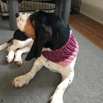 The Cozi Cowl