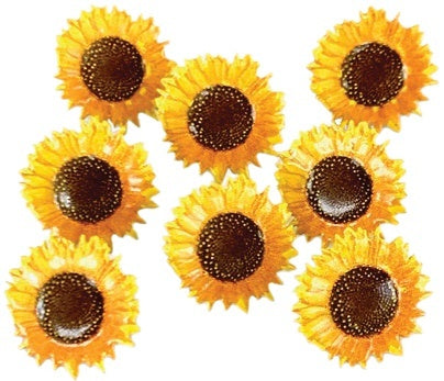 Eyelet Outlet Shape Brads 12/Pkg - Sunflower