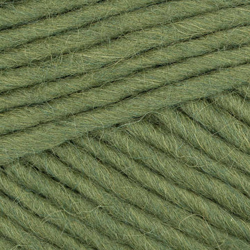 Olive (33)