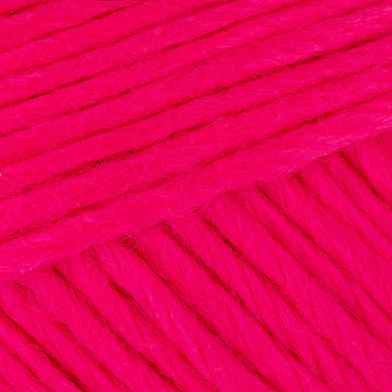 Fuchsia (002)