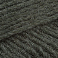 Jupiter (839)