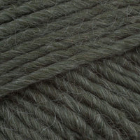 Jupiter (839)