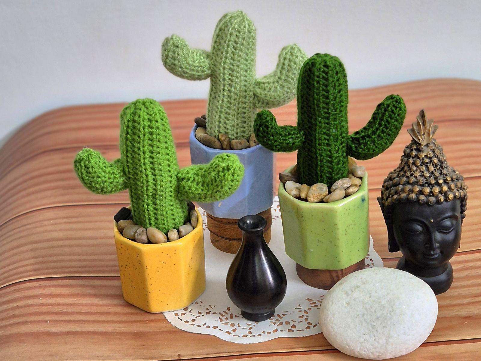 Desert cactus