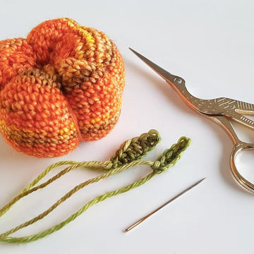 Autumn Pumpkin