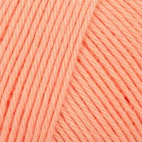 Apricot (00024)