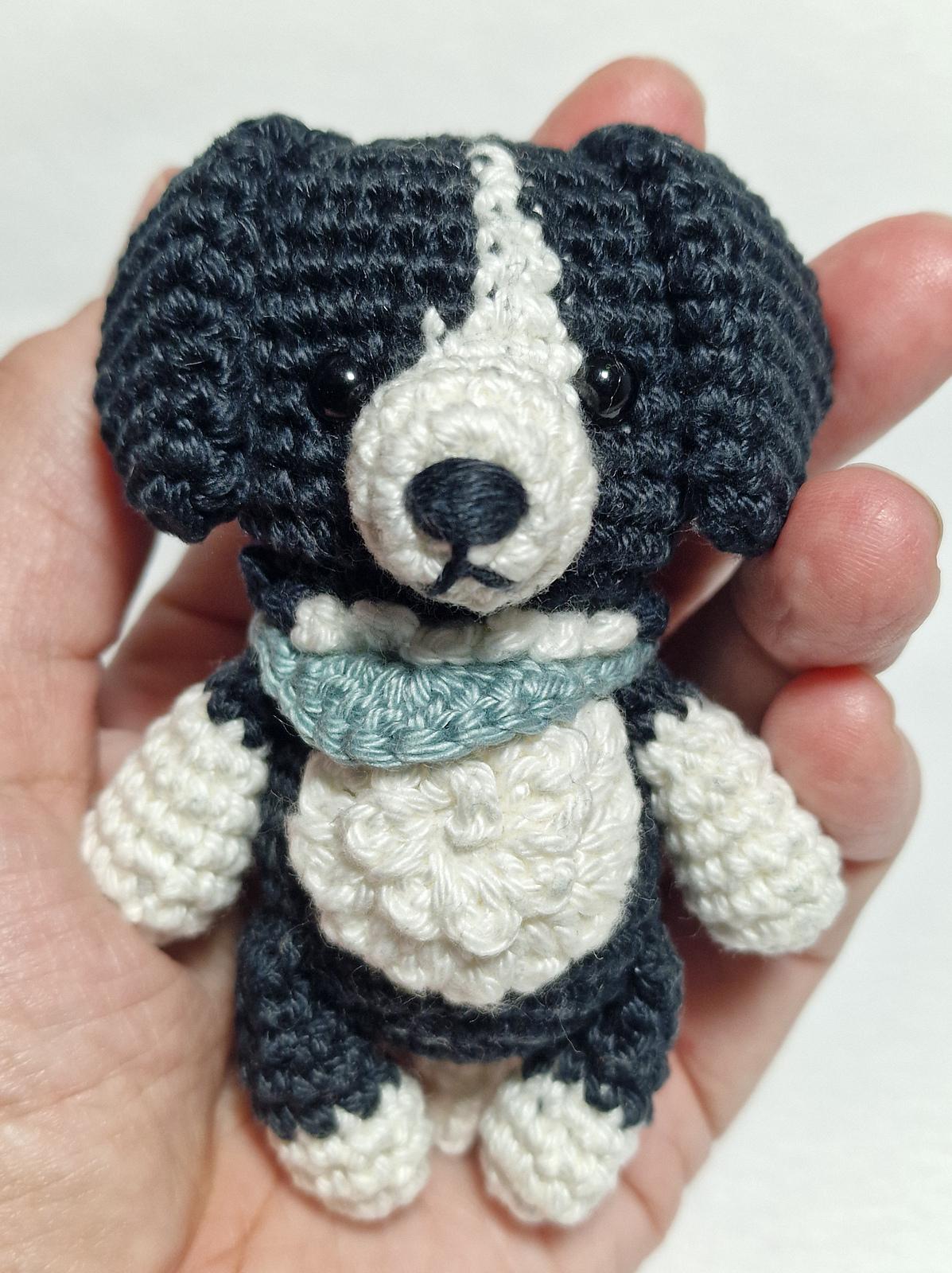Border Collie Dog