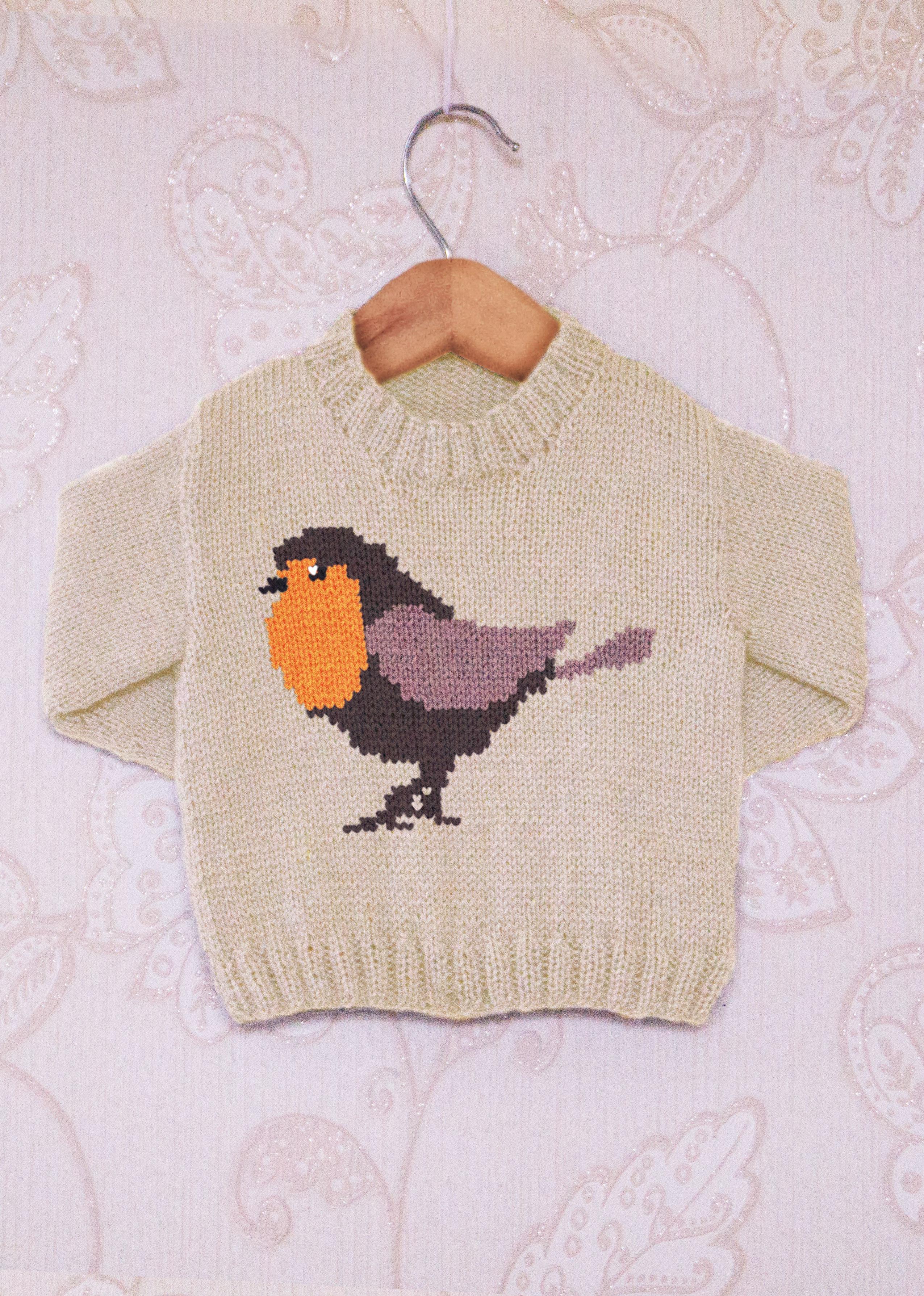 Intarsia - Robin Chart - Childrens Sweater