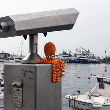 Octopus