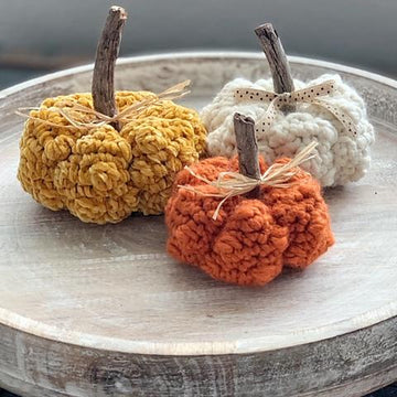 067 The Knobby Little Pumpkin