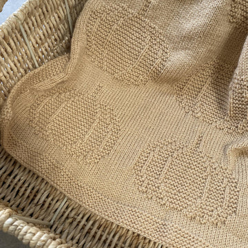 Autumn Pumpkin Knit Blanket