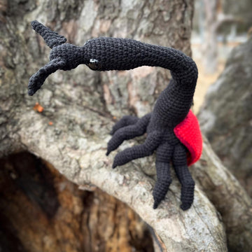 Giraffe Weevil