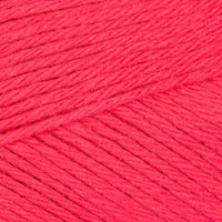 Raspberry (033)
