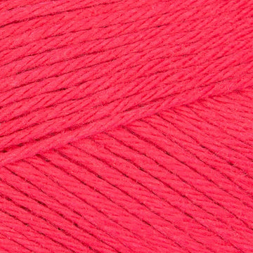 Raspberry (033)