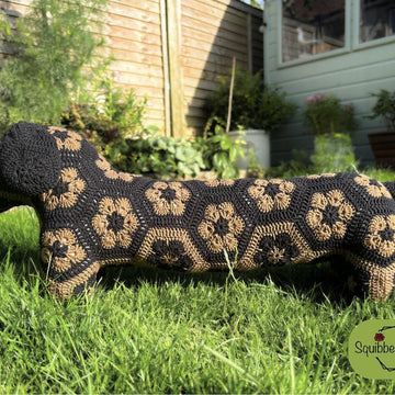 Desmond the African Flower Dachshund Dog