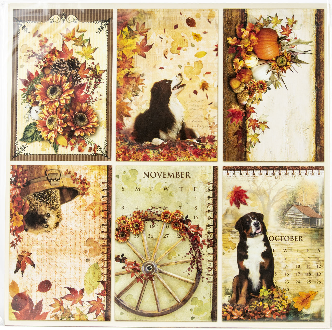 Ciao Bella Double-Sided Paper Pack 90lb 12"X12" 12/Pkg - Sound Of Autumn, 12 Designs/2 Each