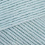 Seafoam Blue (1231)