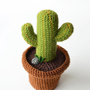 Desert Cactus Amigurumi Crochet Pattern
