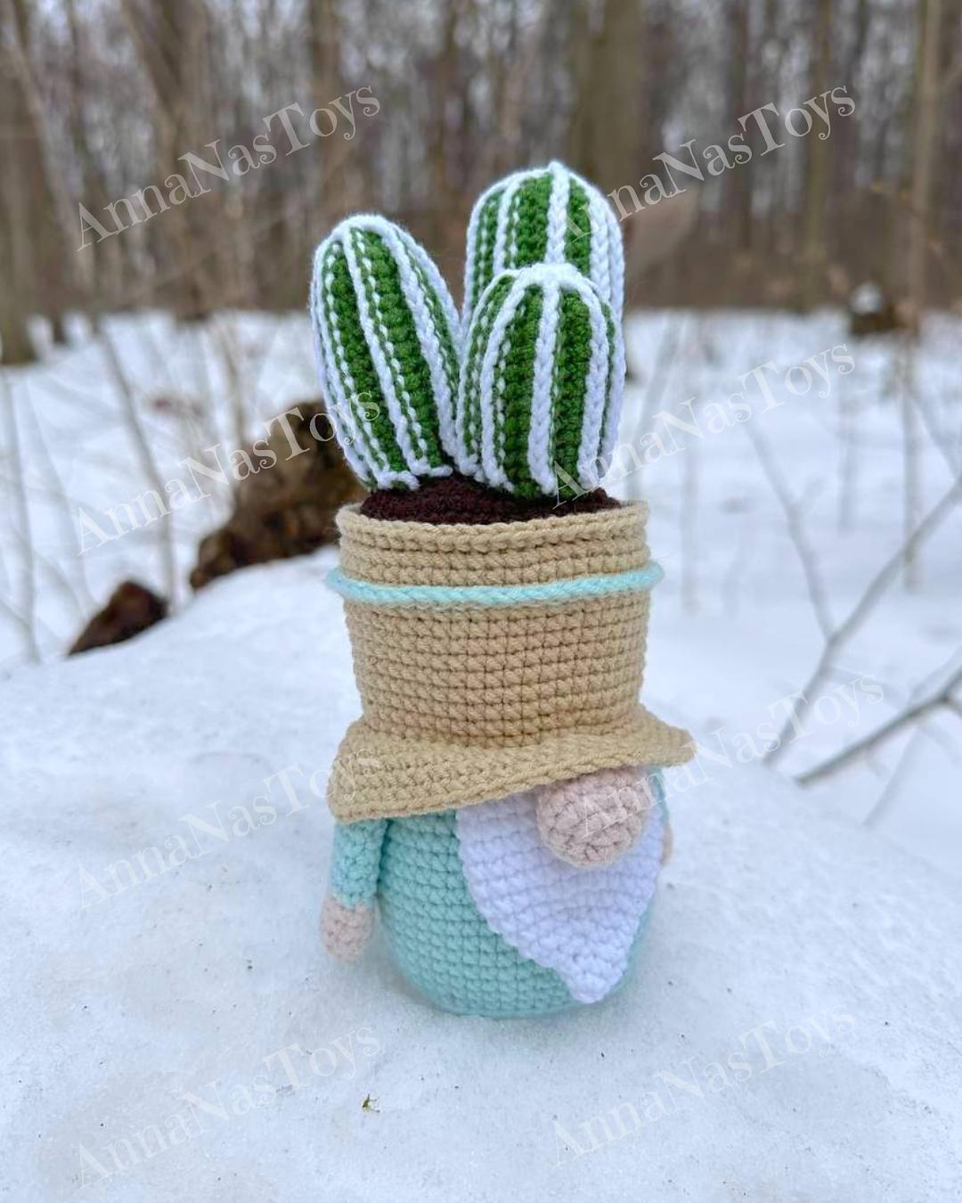Gnome-cactus in a pot 3