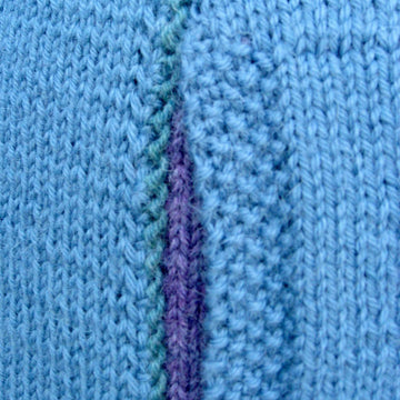 Alston Flower Show hoodie