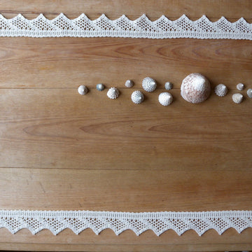 Seaside lace