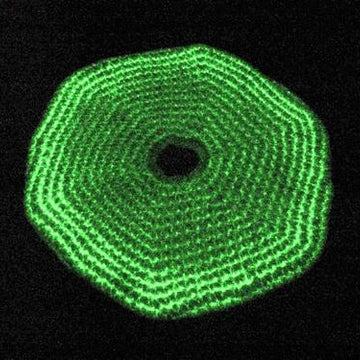 Glow In The Dark Frisbee
