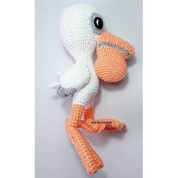 Remy the pelican