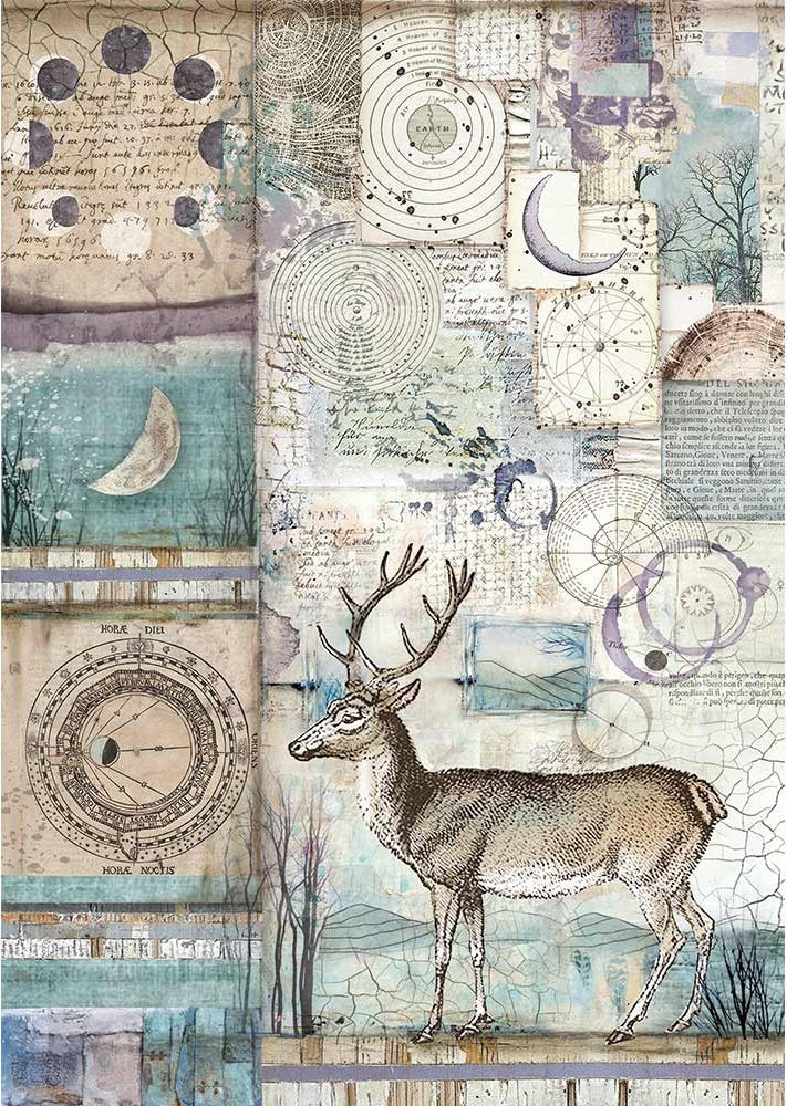 Stamperia Intl Stamperia Rice Paper Sheet A4 - Cosmos Deer