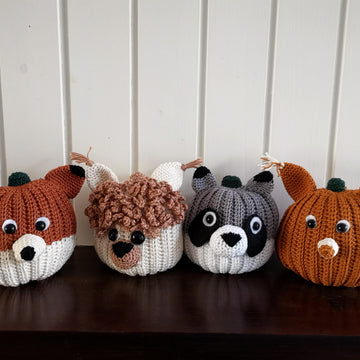 Pumpkin Pals Cat
