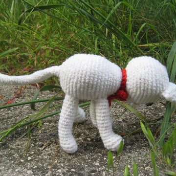 White cat