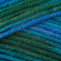 Peacock Colour (2356)