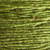 Cedar (04)