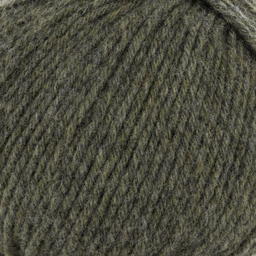Dark Khaki (200741)