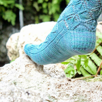 Lacewing