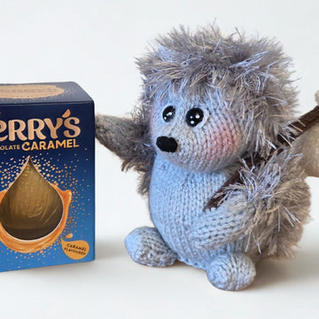 Homeward Bound Hedgehog Choc Orange Cosy