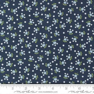 Moda Fabrics Nantucket Summer - Navy