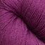 Grape (5710)