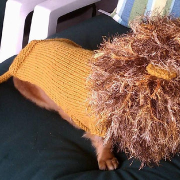 Lion Dog Sweater - Sizes XS, S, M, Miniature Dachshunds