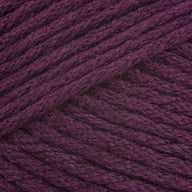 Dried Plum (9780)