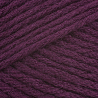 Dried Plum (9780)