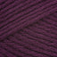 Dried Plum (9780)