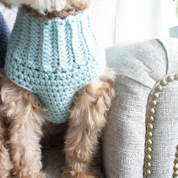 Pullover Dog Sweater