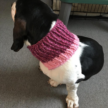 The Cozi Cowl