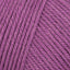Passion Plum (24)