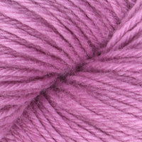 Orchid (14005)