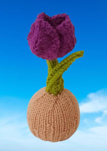Tulip Chocolate Orange Cosy