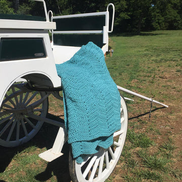 Cozy Comforts Blanket