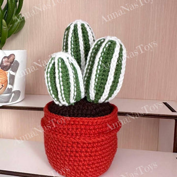 Cactus 3 in a pot